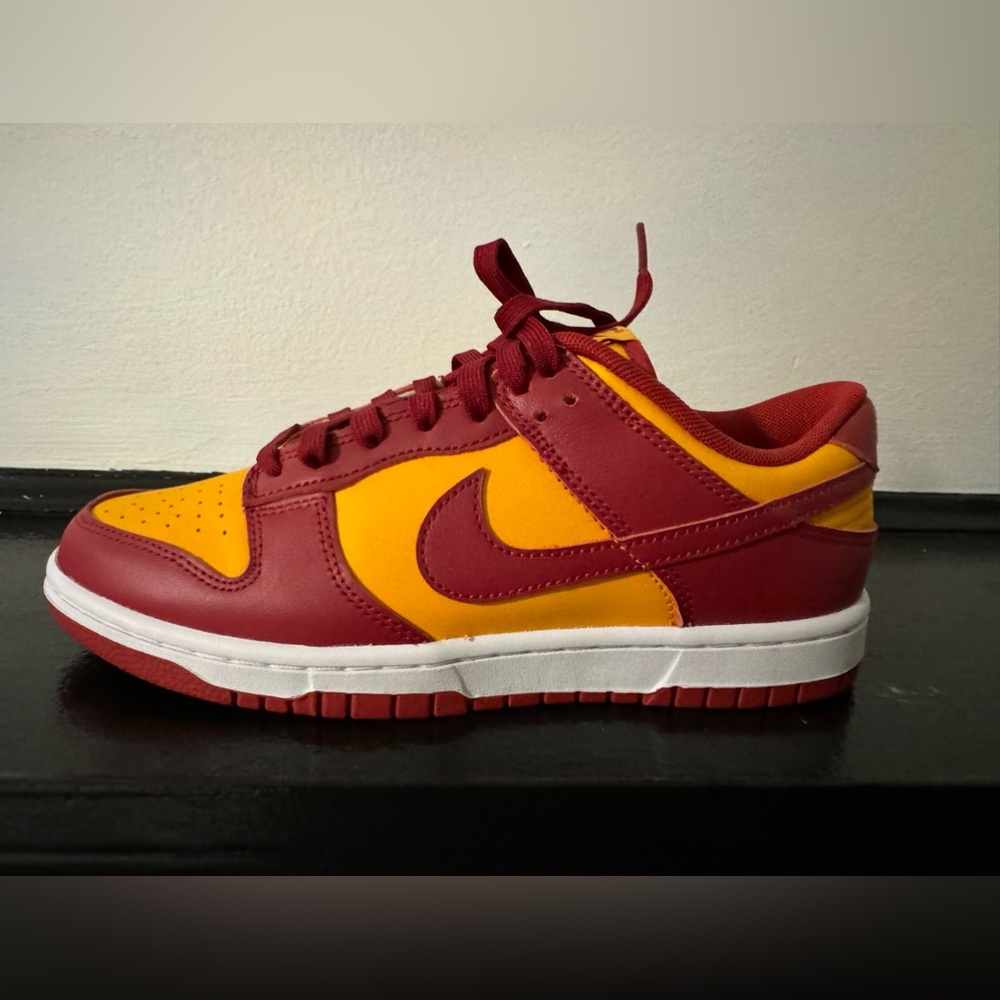 Brand new Nike dunks